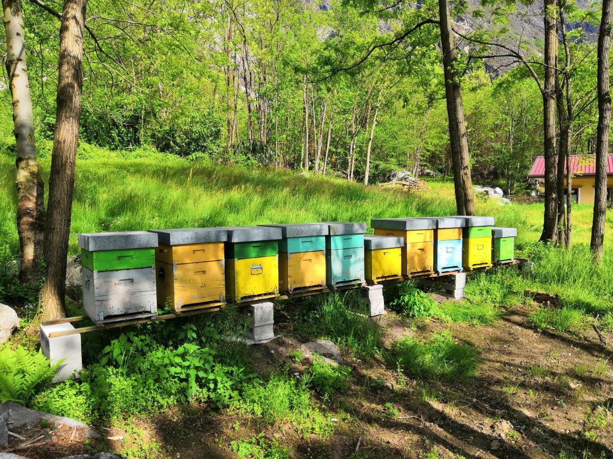 Agriturismo Val Codera Verceia Екстер'єр фото