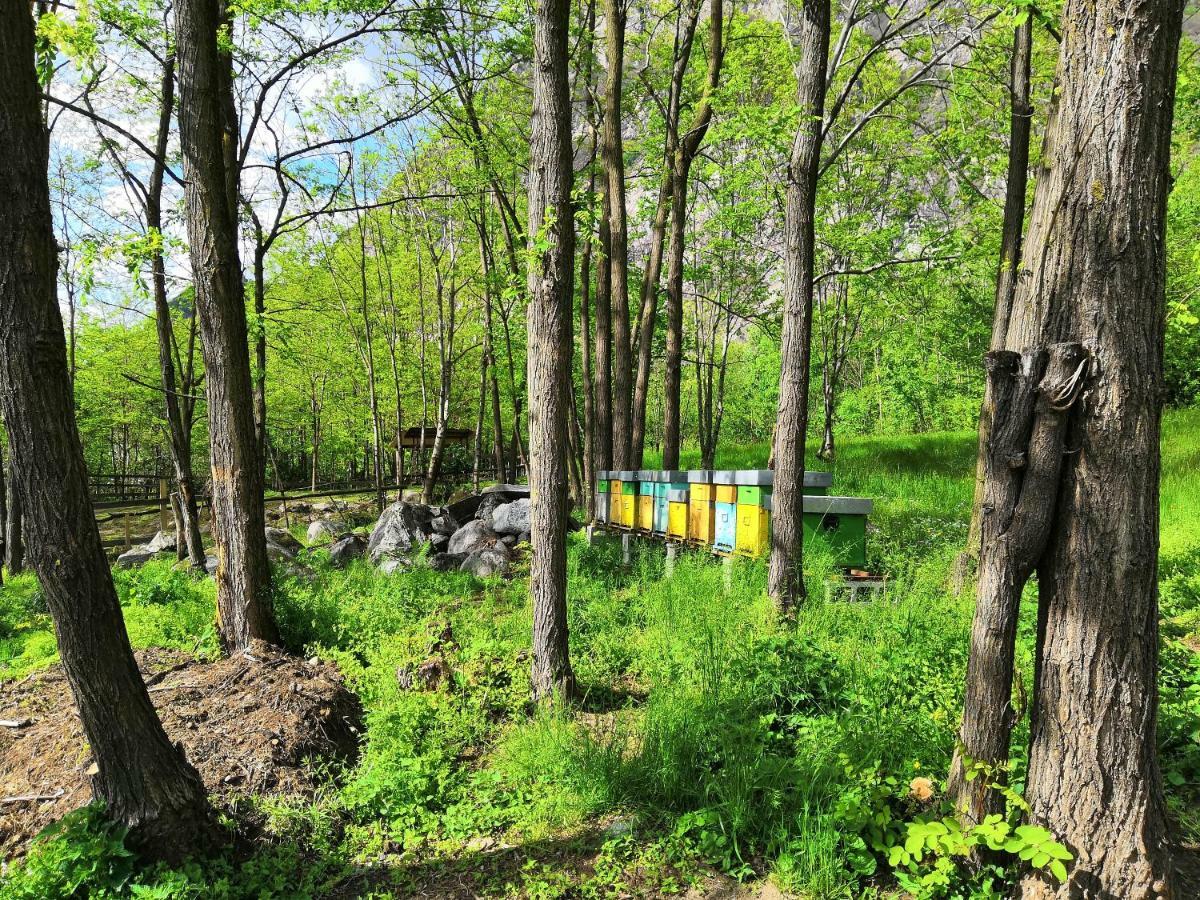 Agriturismo Val Codera Verceia Екстер'єр фото