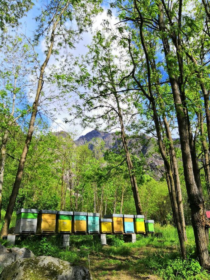 Agriturismo Val Codera Verceia Екстер'єр фото